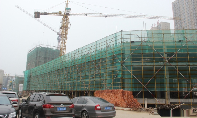 紫榭丽舍实景图