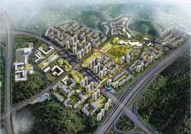 万科森林公园效果图