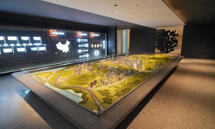 中洲铂玺坊实景图