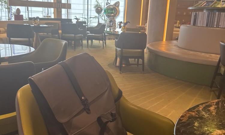 中建玖玥府样板间