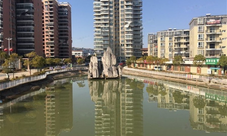 栖凤湖畔实景图