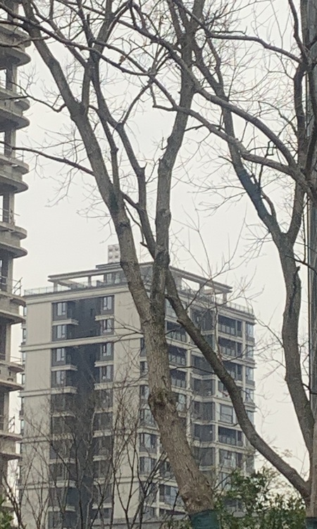 融创0238施工进度图