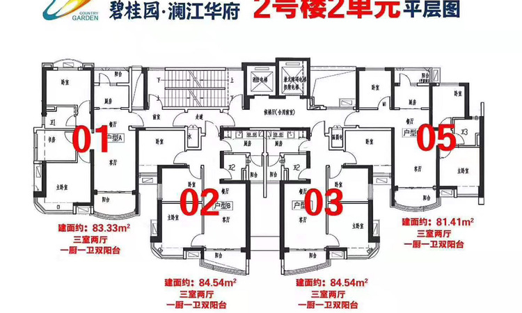 碧桂园澜江华府楼层平面图