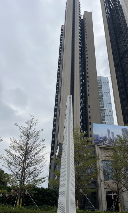 金信中心施工进度图