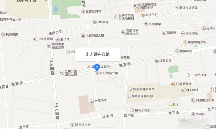 东方银座公馆实景图