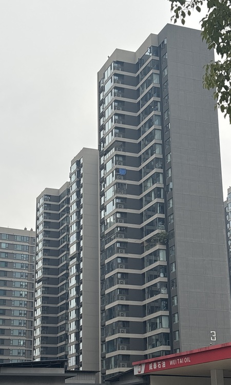 印湘江·New288实景图