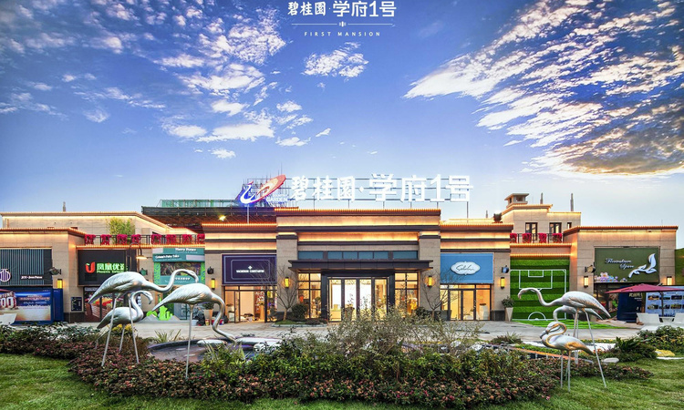 碧桂园学府1号实景图