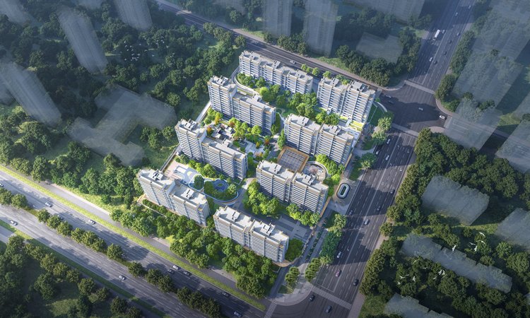 绿城锦玉兰效果图