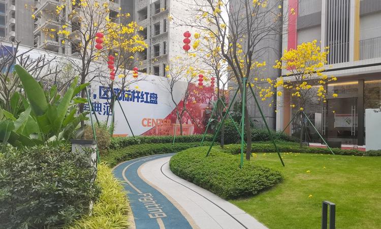 中建弘阳德信·湾璟壹号实景图