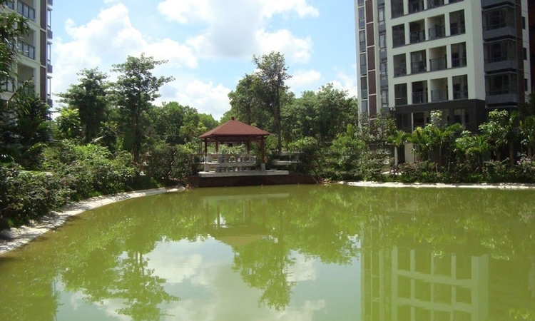 竹悦山水实景图