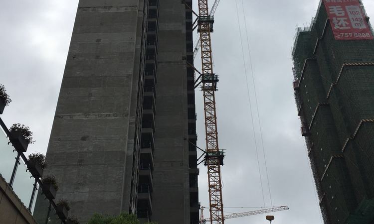 碧桂园·云廷施工进度图