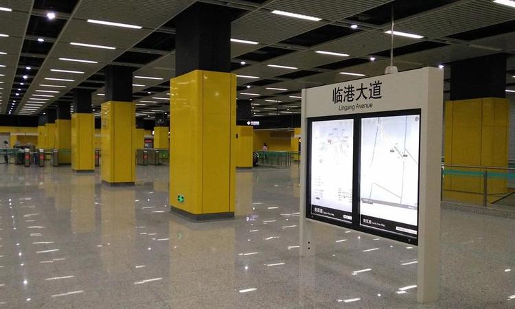 临港首府周边配套图