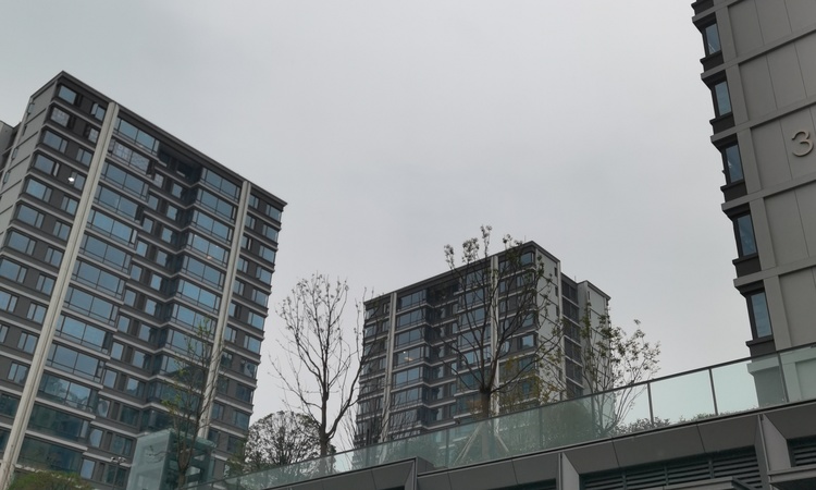 保亿御景雅园施工进度图