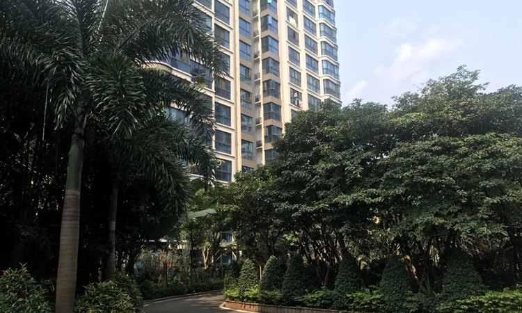 椰海温泉嘉苑实景图