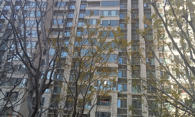 万科星图施工进度图