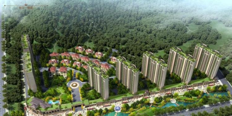 碧桂园凤凰山实景图