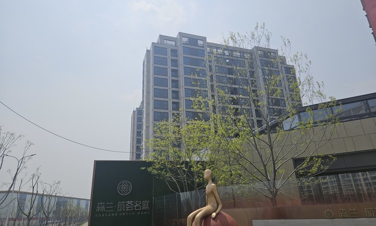 森兰·航荟名庭施工进度图