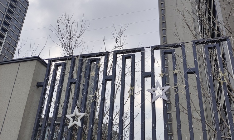 致豪嘉盛苑施工进度图