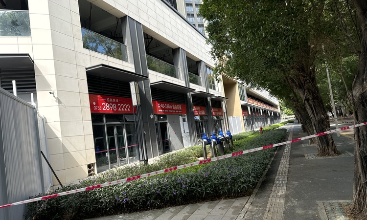 利联·星龙园施工进度图