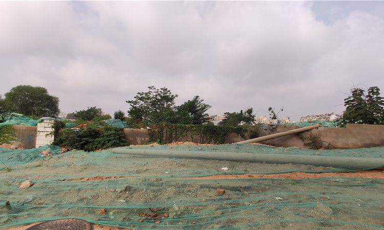 大云谷金茂府施工进度图