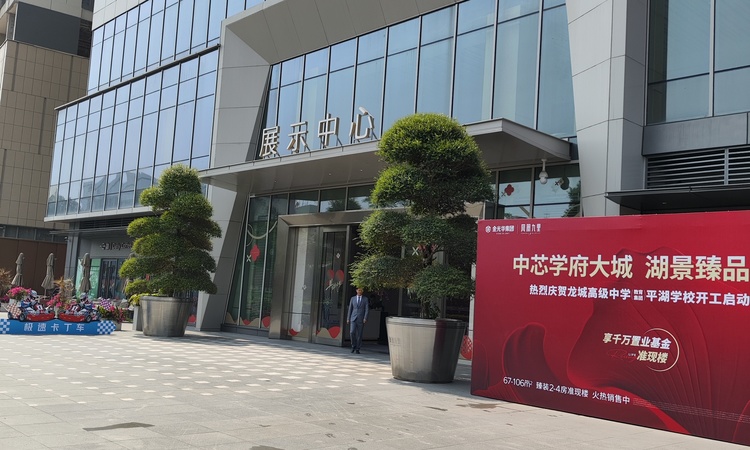 金光华凤凰九里实景图