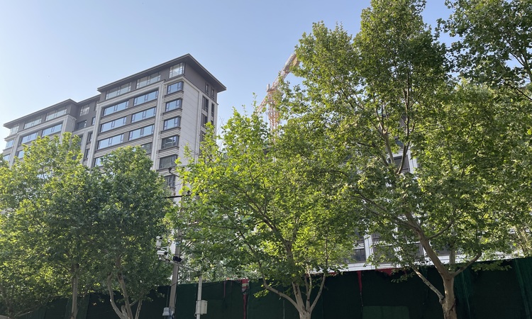 天赋施工进度图