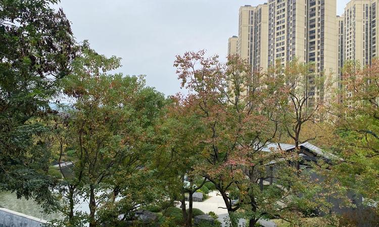 金地·御湖颂周边配套图