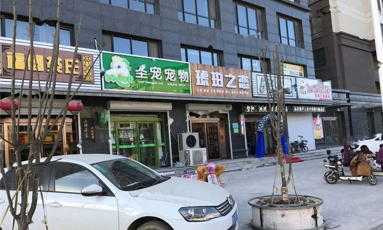 京东狮子城周边配套图