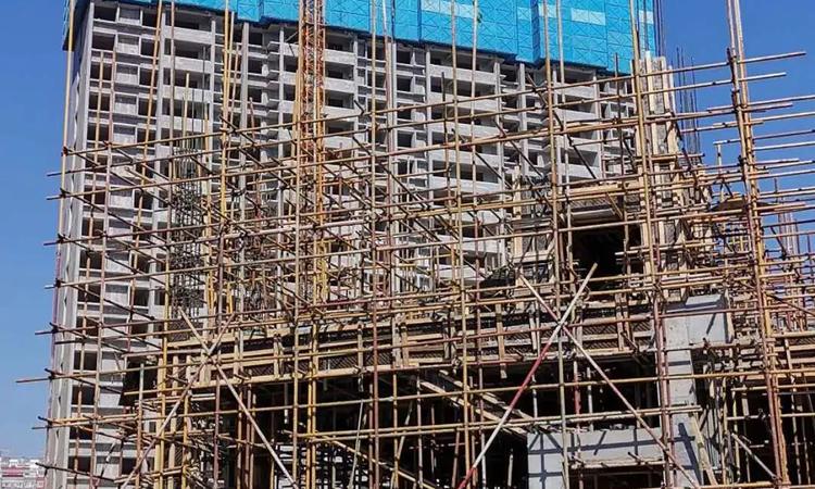 冠鲁明德华府施工进度图