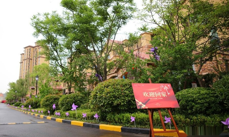 建业·森林半岛实景图