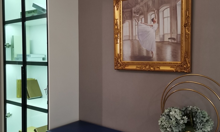 美岸观邸样板间