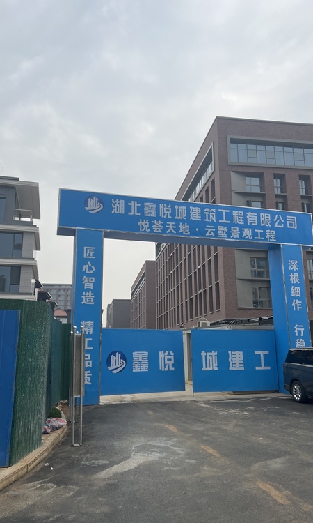 悦荟天地·云墅施工进度图