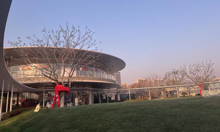 中环麓岛实景图