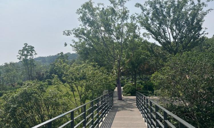 武汉城建仁恒西湖山居实景图