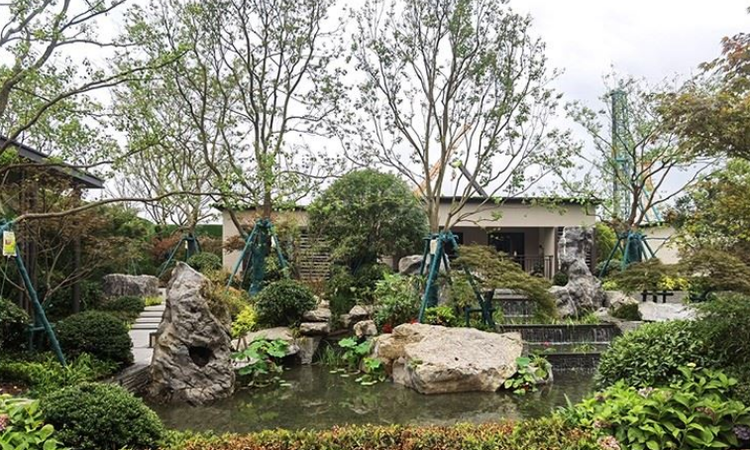 保利堂悦实景图