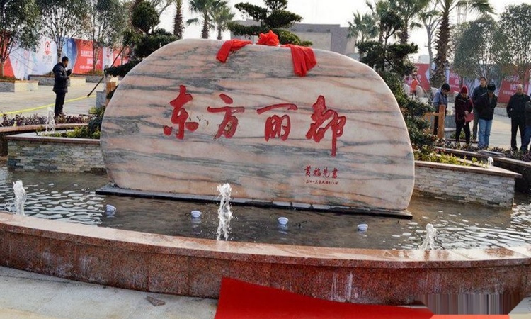 东方丽都实景图
