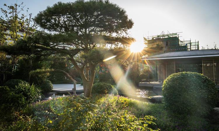 中海锦城实景图