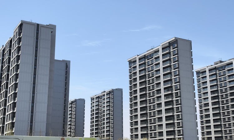 新四季都会施工进度图