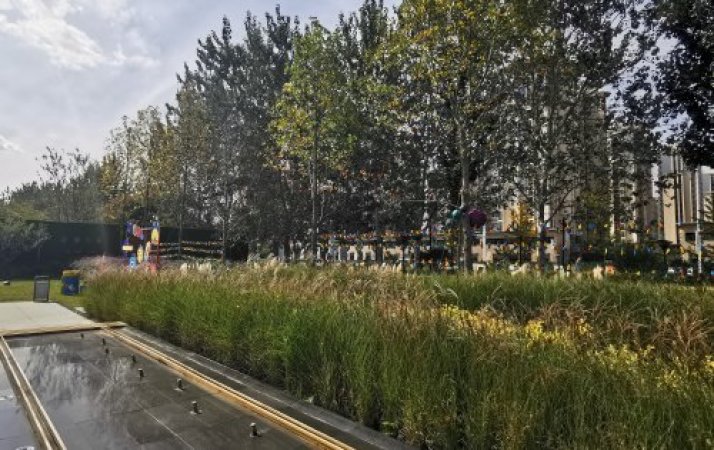 滨湖万丽周边配套图