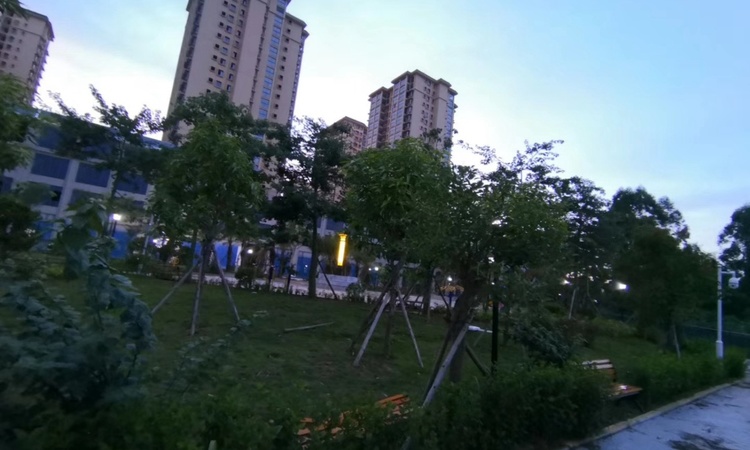 金澜湾实景图