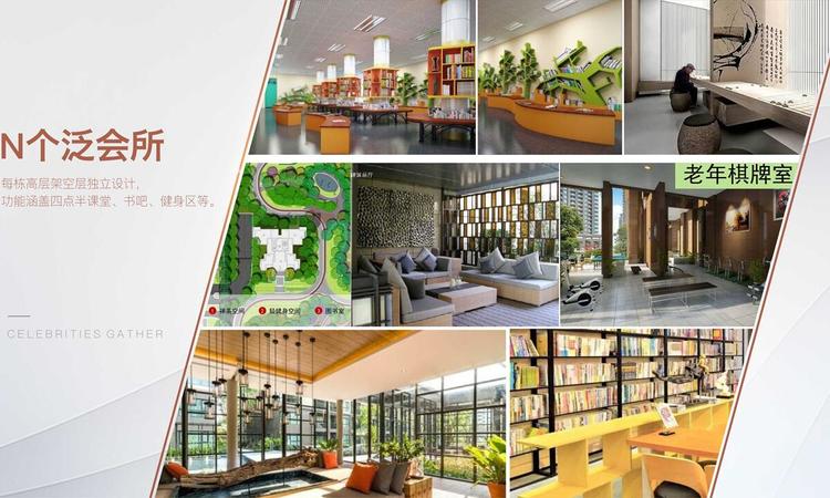 万景进园汇实景图