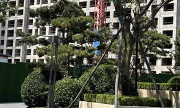 青云天下施工进度图