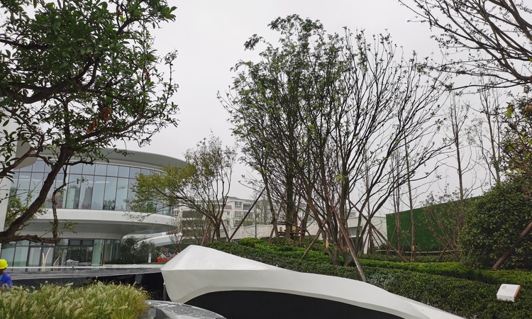 优品道邦泰·公园府实景图