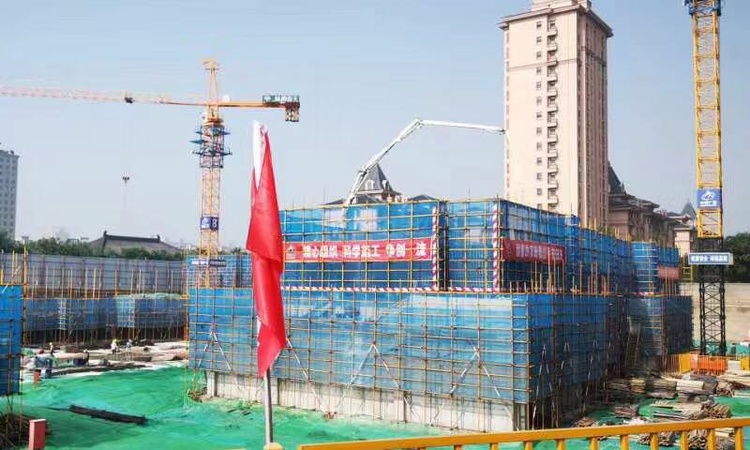 林荫春天施工进度图