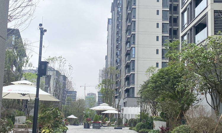 常青藤·湖上初晴施工进度图