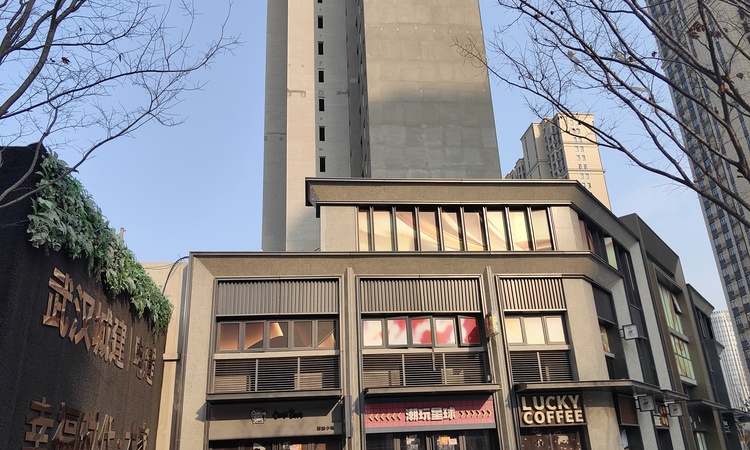 武汉城建·电建·幸福时代大家施工进度图