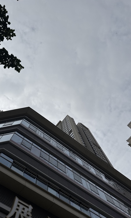 天曜府施工进度图