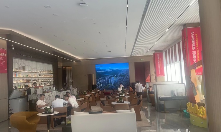 星河·星悦云邸实景图