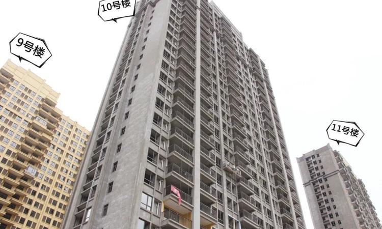 麻城金丰国际生态城施工进度图