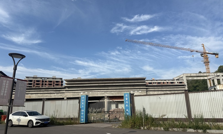 财信·九悦府施工进度图